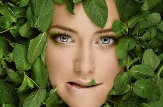Травы какое лицо. Травы для косметологии лица. Мяты для лица. Девушка лицо зелень. Маска из мяты.