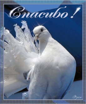 За всё тебя - благодарю!