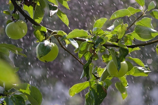 Дождь зарисовка