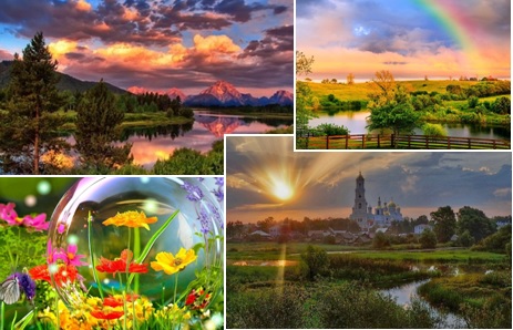 Под розовыми парусами