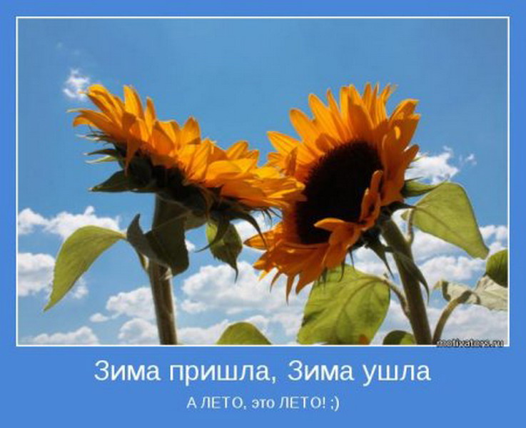 Статус про последний день лета. Лето август цитаты. Цитаты о лете. Статус про последний день лета. Стихи про конец лета.