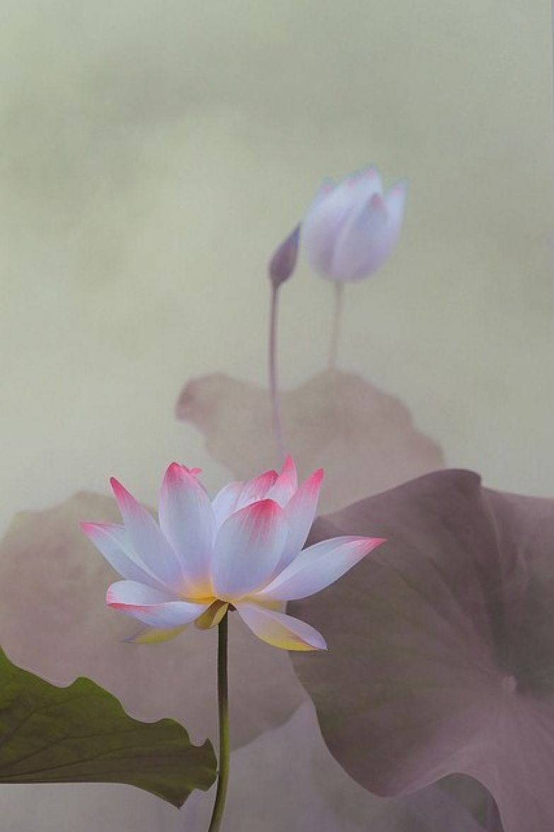 Сердечное ощущение