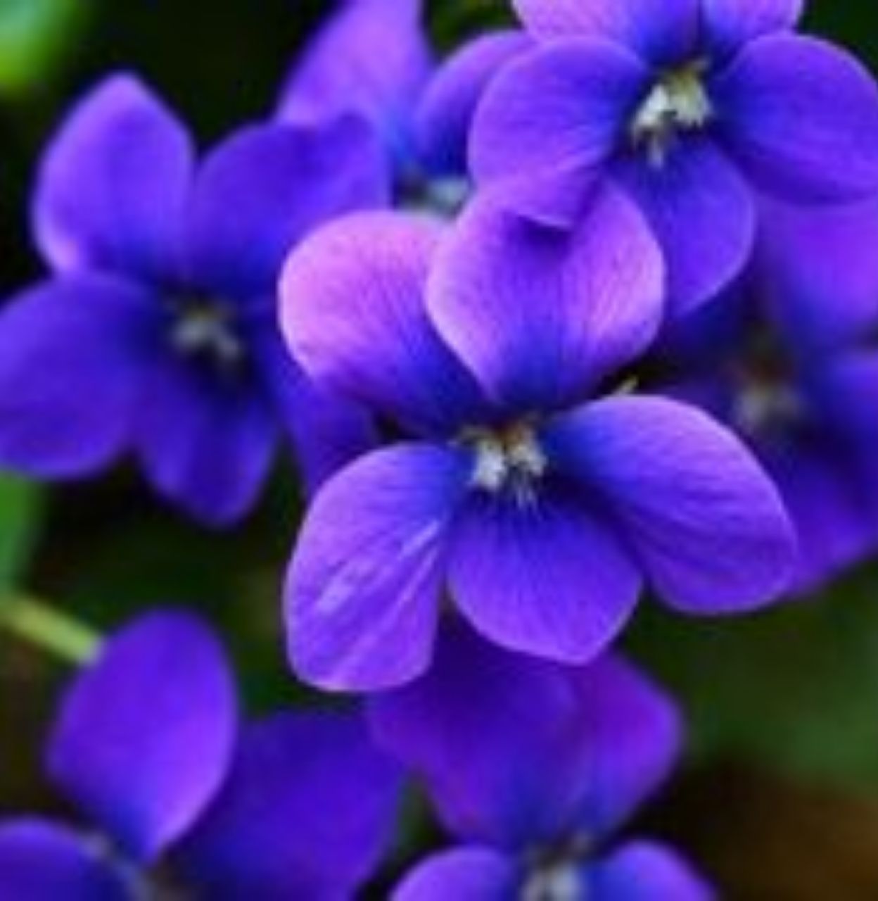 Мы живём в этом мире