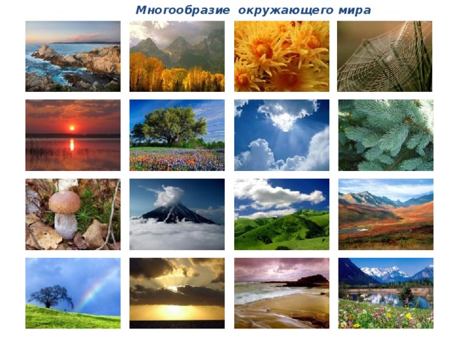 19. Стих про то, КАК мы познаём окружающий мир