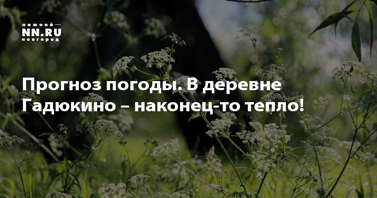 Вот и лето...
