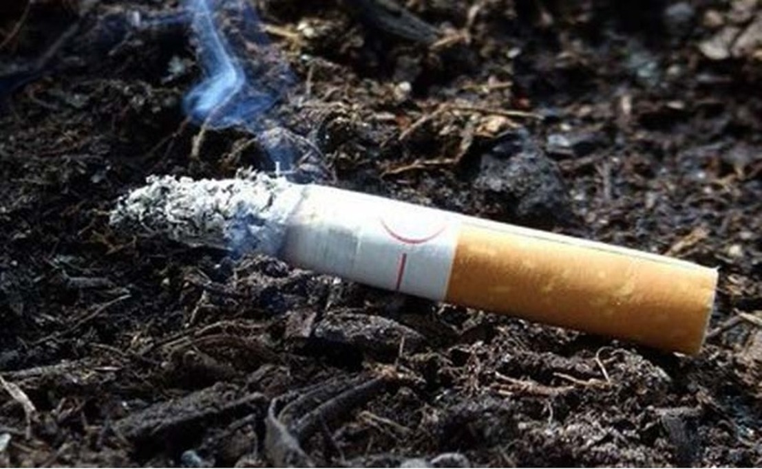 Кидает окурки. Сигарета на земле. Окурки загрязнение. Непотушенная сигарета на траве.