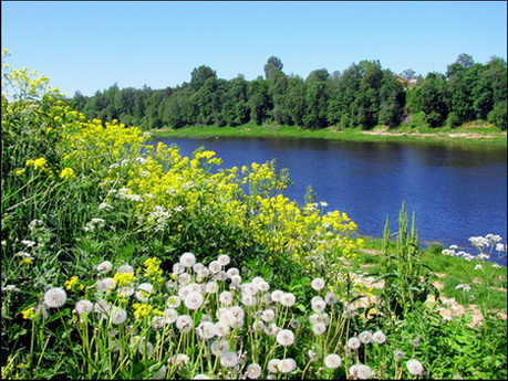 Элегия жизни