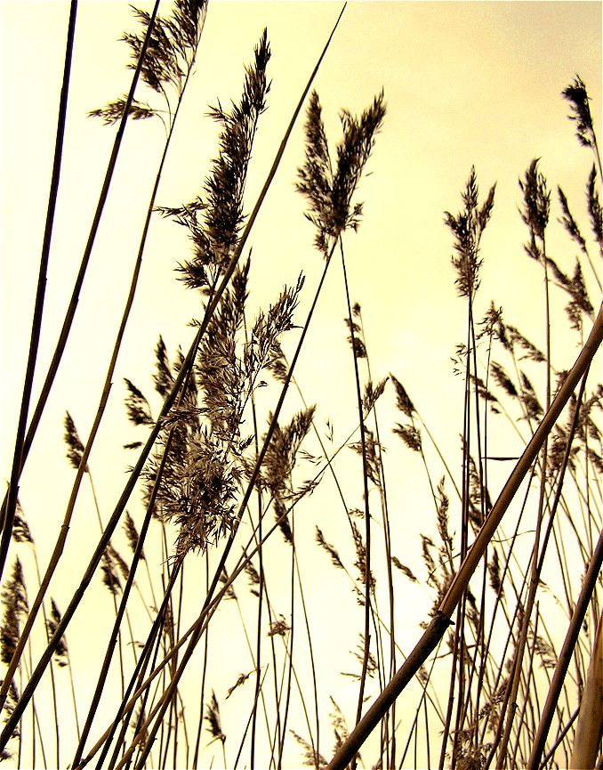 Любовь ушла