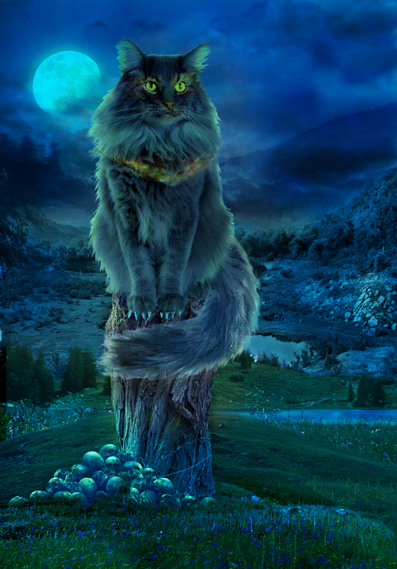 3867 Дано свыше