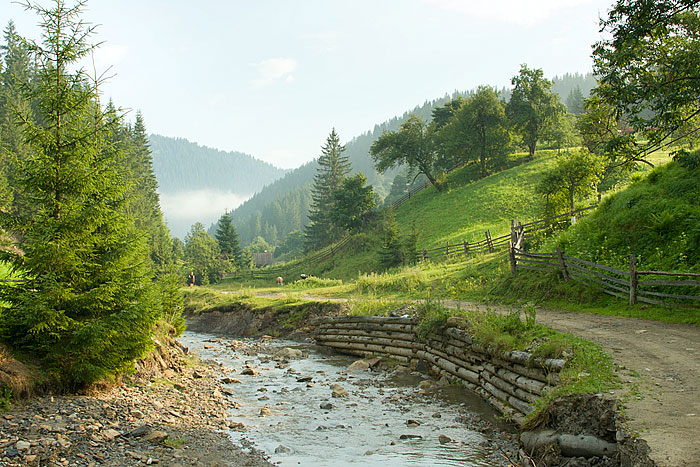 Знакомая тропинка