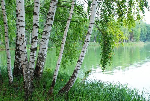 34 В краю зелёном, благодатном