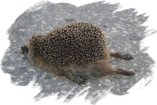 Счастливое времечко