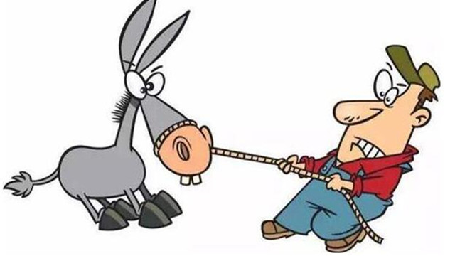 Терпеливый Осёл