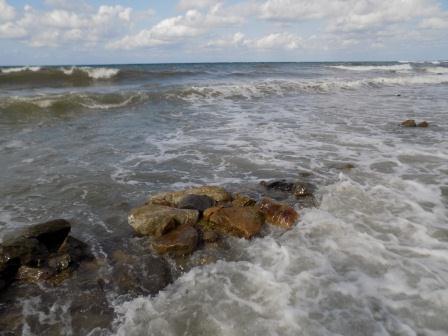 Сон. Веселинка Стойкович