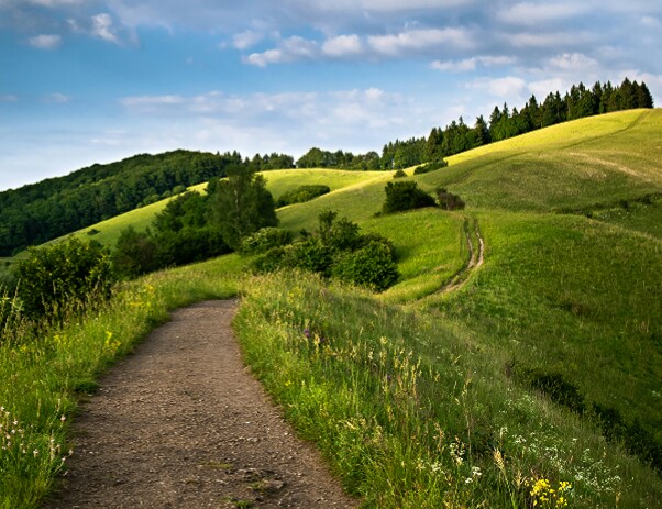Видишь тропка в поле змейкой