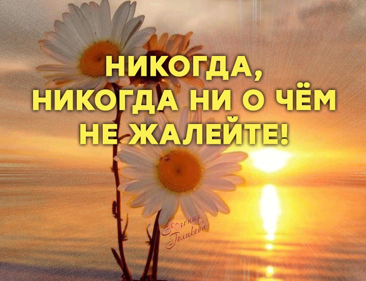 Цените слух цените зренье любите зелень синеву. Никогда ни о чем не думал. Иногда мечты не исполняются к лучшему. Никогда ни о чем не думал. Иногда мечты не сбываются к лучшему.