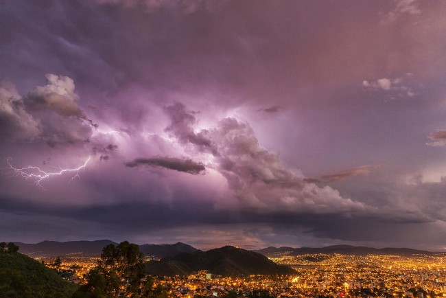 Уставший от летней жары