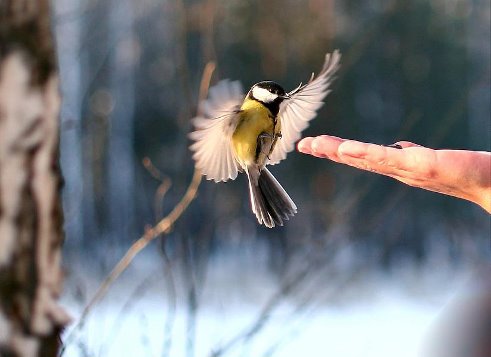КОМУ - ТО НАДО...