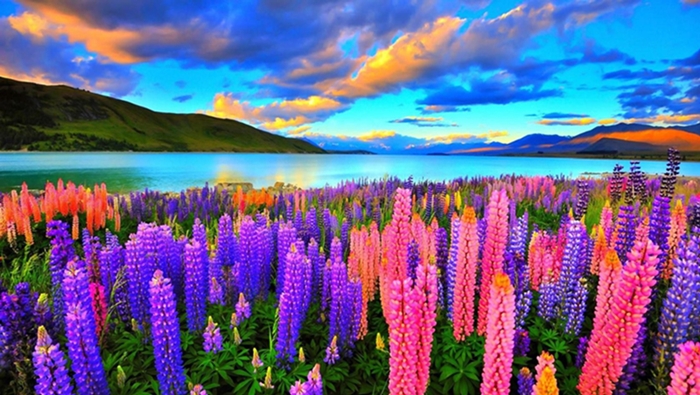 Если рай такой, то я потерплю!