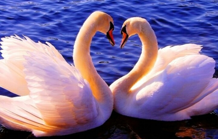 Не поймаешь ветер в руки