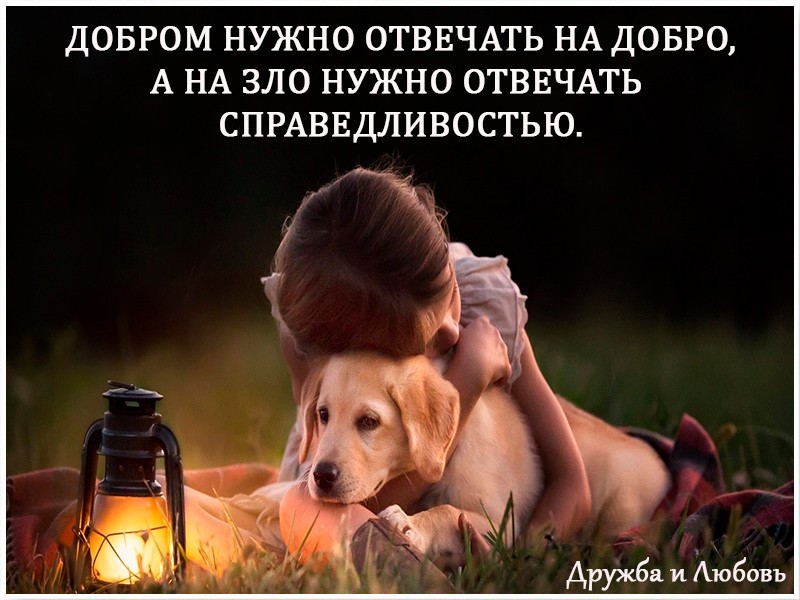 Справедливость - долг земной!