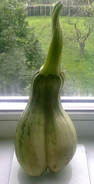 Юморист был ещё тот