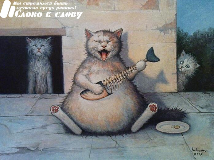Кошачьи разборки. Экспромты на фото