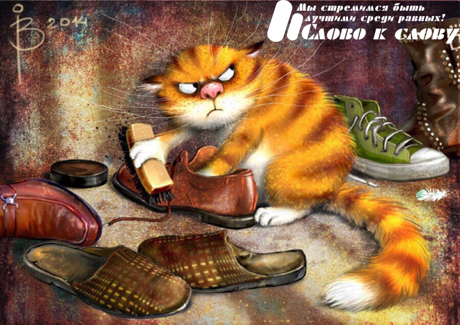 Звездатый кот. Экспромты на фото