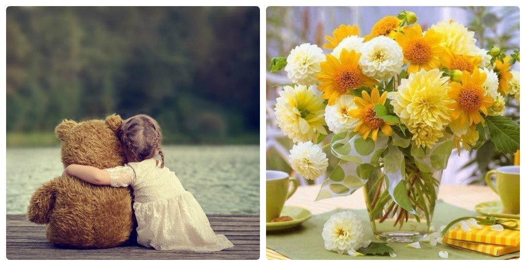 Про Топтыжку