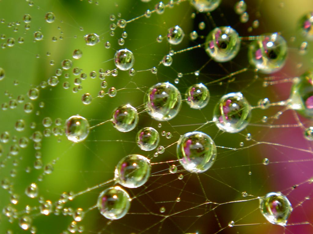 Созерцание