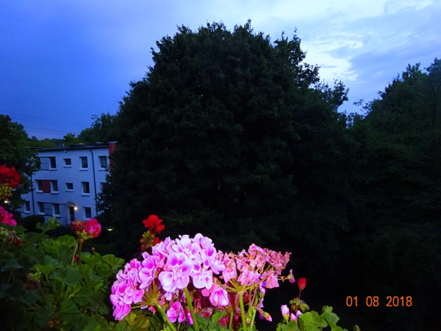 Утро сверкает - новизной...