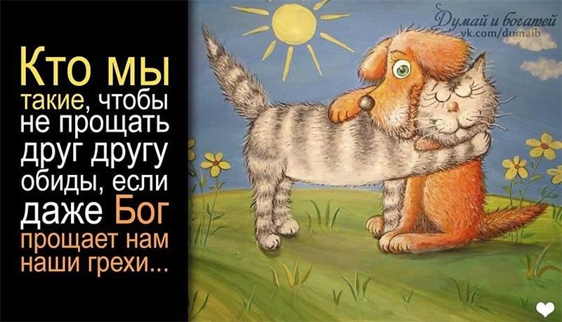 картинка не обижайся другу птиц