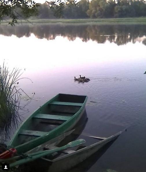 Утки в пять утра