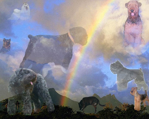 Беги по радуге малыш мягких тебе облачков картинки