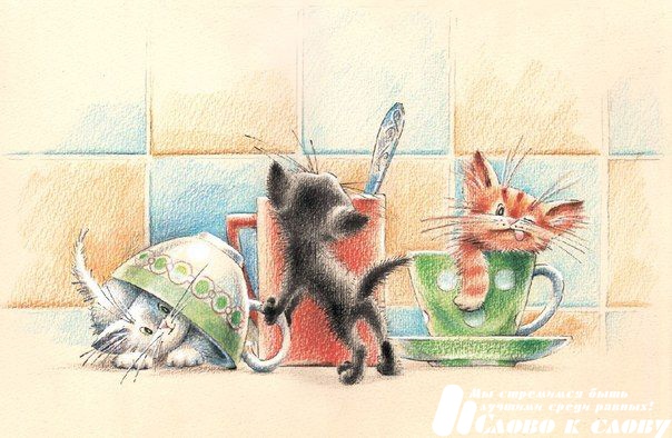Завтрак для котят