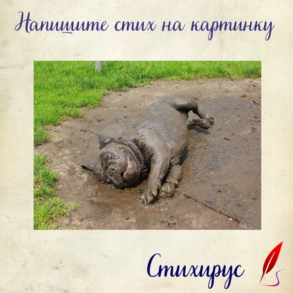 Грязевая ванна. Экспромты на фото