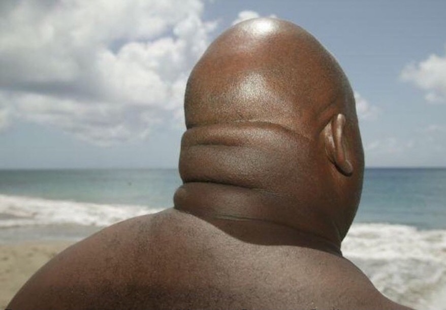 Жирный негр картинки