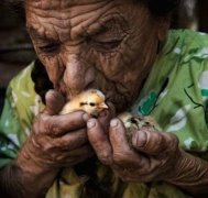 Закон добра