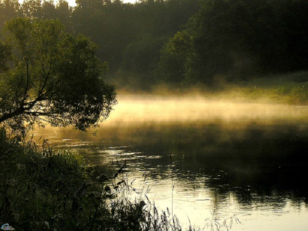 Дождь бродит...