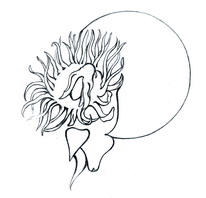 Шмель к цветку припарковался...