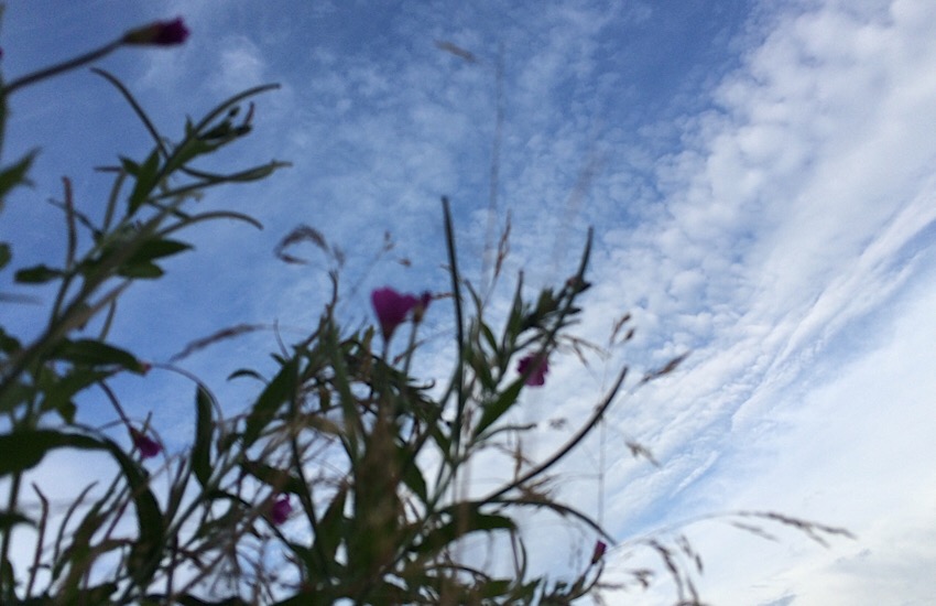 Лето наносит последний штрих