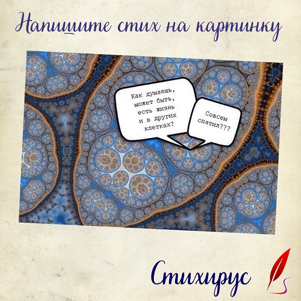 Экспромты на фото. Алхимия жизни