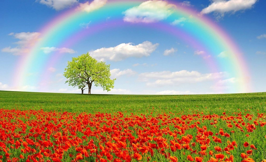 А ЖИТЬ НАДО...