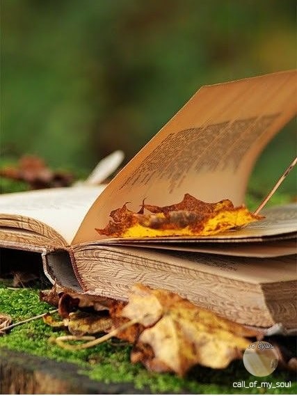 Не поможет - даже, Бог!