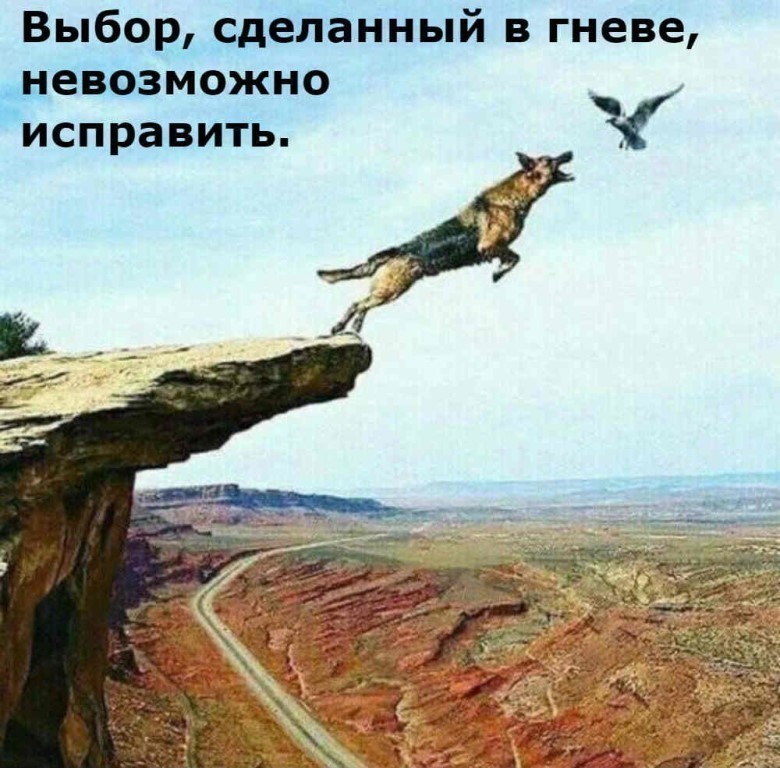 Я выбираю в отношениях вплавь (Юлия Попович Другакова) / Стихи.ру