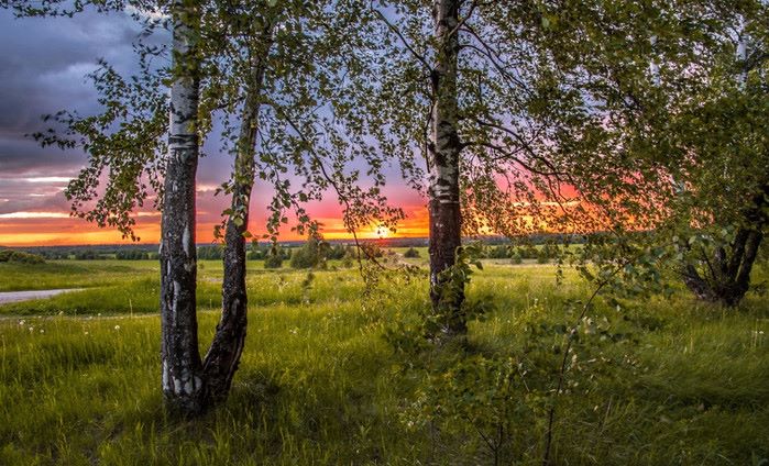 Лiтнi мотиви