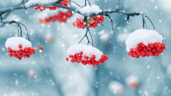 Хватка твоего Господа