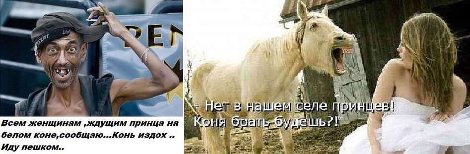 Картинка ждет принца. В ожидании принца прикол. Картинка ждет принца. Картина в ожидании принца приколы. Женщина ждущая идеального.