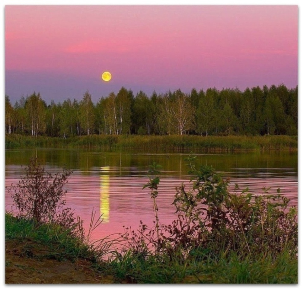 Розовое утро, розовый закат