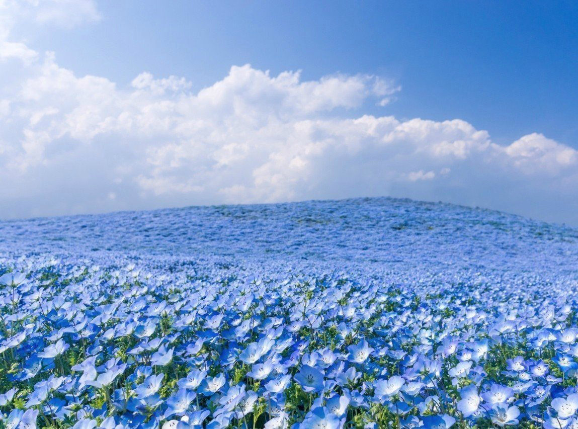 Душе - необъятная синь!